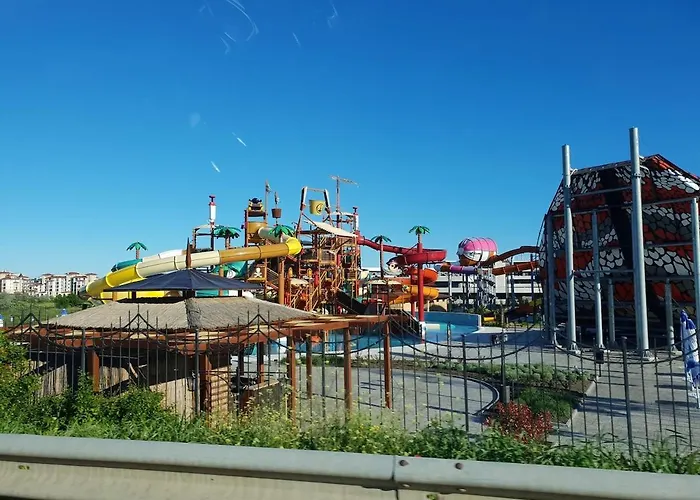 Double Peach * 圣弗拉斯